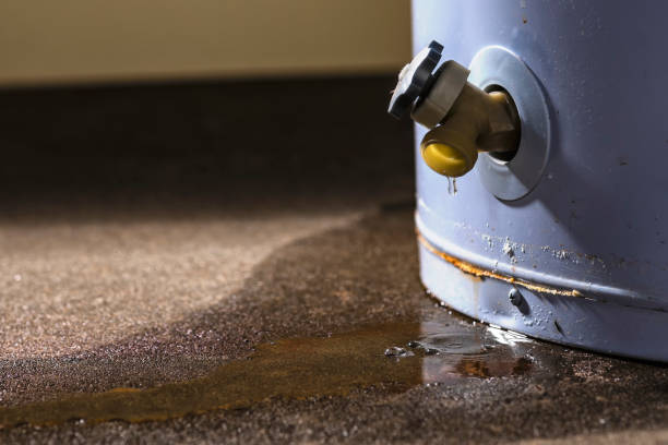 Best Residential water damage restoration  in Genoa City, WI