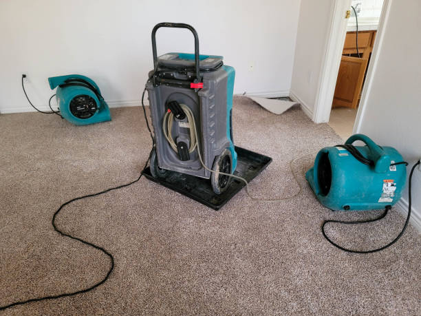 Best Water damage repair service  in Genoa City, WI