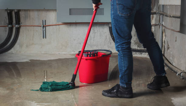 Best Basement water damage restoration  in Genoa City, WI
