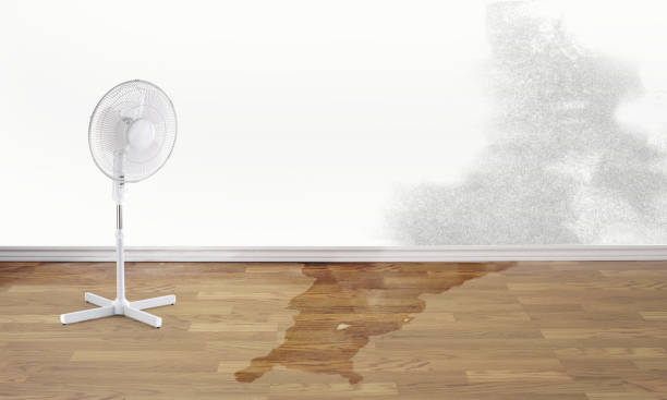 Water damage restoration insurance claims in Genoa City, WI