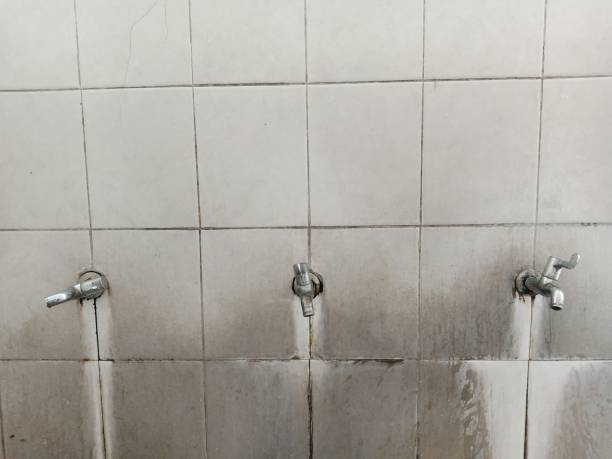 Best Water damage restoration specialists  in Genoa City, WI